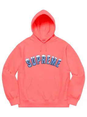 SUPREME ICY ARC HOODIE BRIGHT CORAL [FW20]